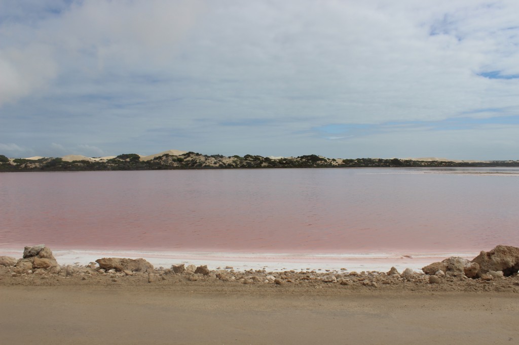 Pink Lake at Lake McDonnell