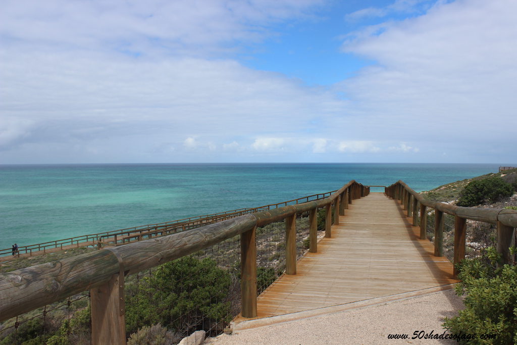 Head of Bight Boardwalk