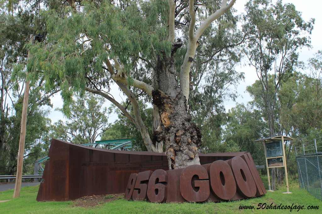 Touring Along the Newell Highway of New South Wales