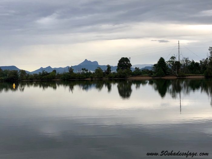 tweed river cruise to tumbulgum