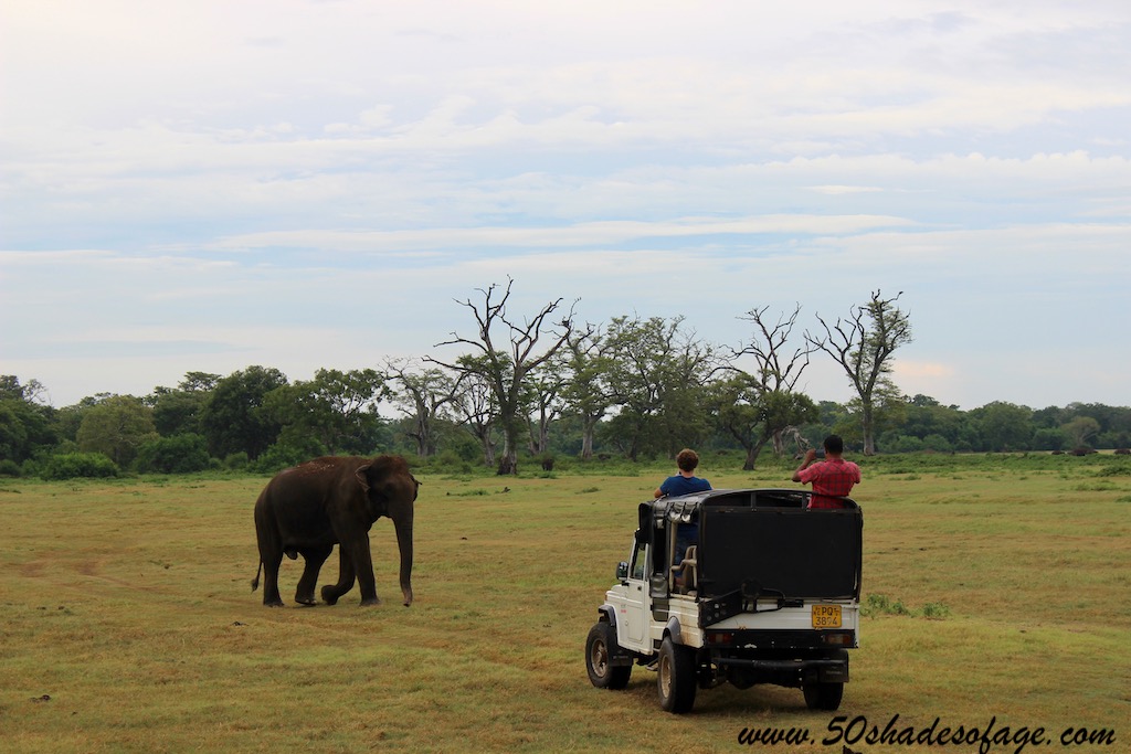 7 Days in Sri Lanka