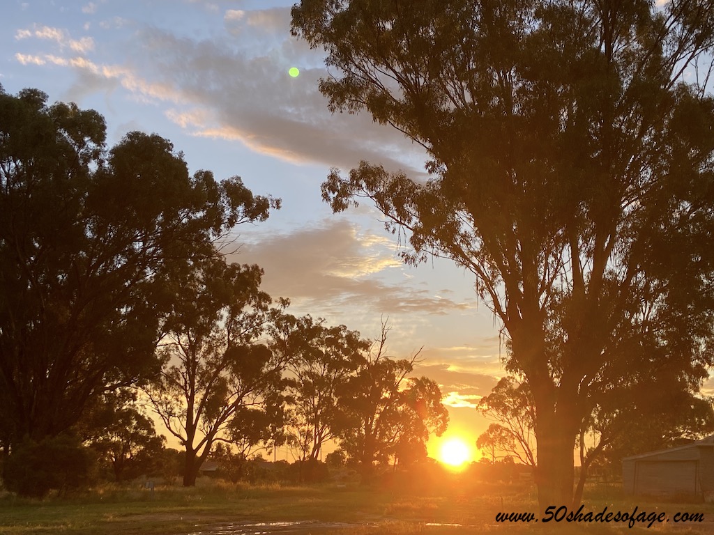 Touring Along the Newell Highway of New South Wales