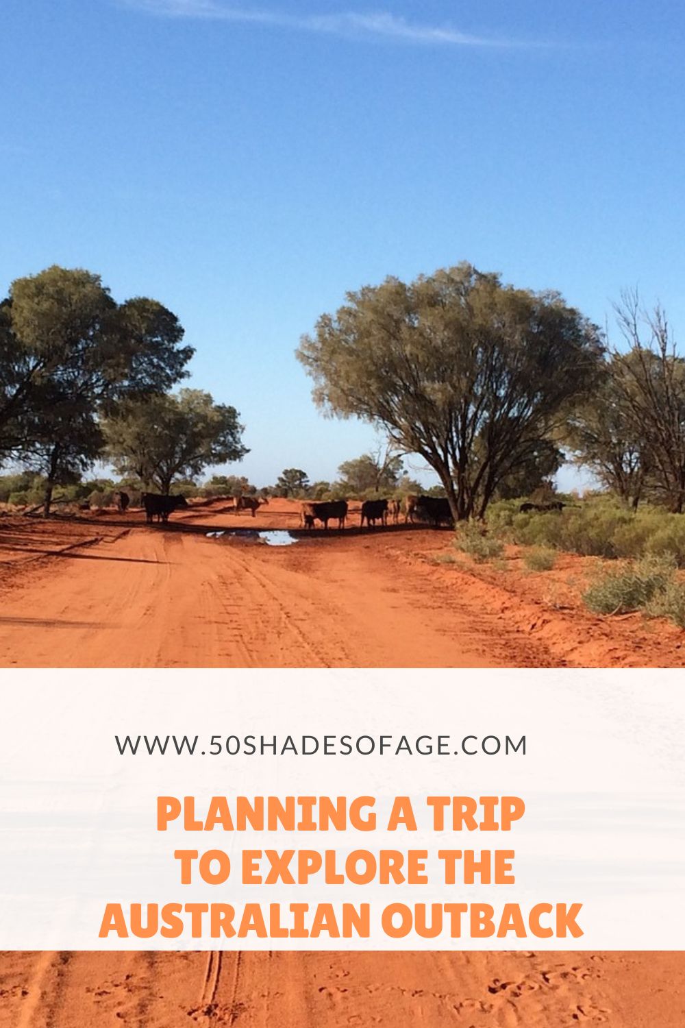 Planning a Trip To Explore the Australian Outback